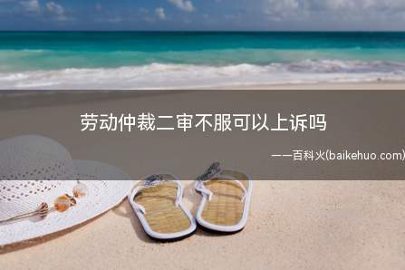 劳动仲裁二审不服可以上诉吗(劳动争议不可以再上诉吗)