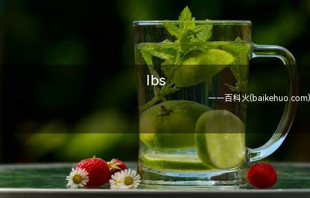 lbs(lbs是手机运营商为客户提供相关服务的一项增值业务)