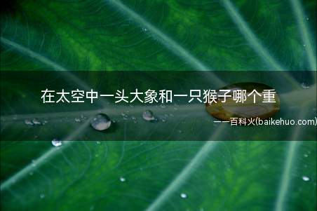 在太空中一头大象和一只猴子哪个重(太空中的“失重”状态是一种脱离力场的状态)