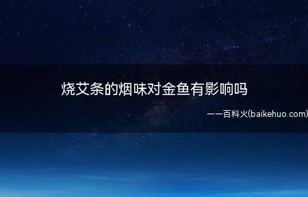 烧艾条的烟味对金鱼有影响吗(烧艾条的烟味对金鱼有影响)