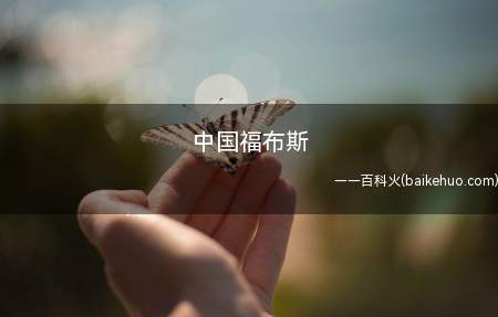 中国福布斯(2020年福布斯中国400富豪榜)