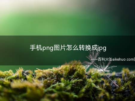 手机png图片怎么转换成jpg（EMUI11）
