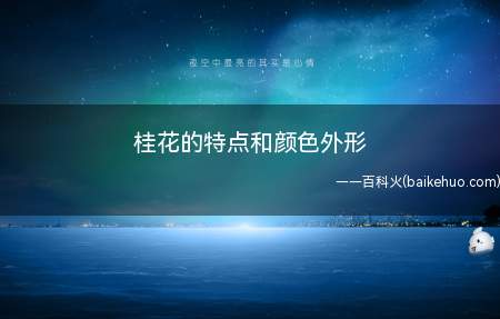 桂花的特点和颜色外形（花生于叶腑间,花冠合瓣四裂）