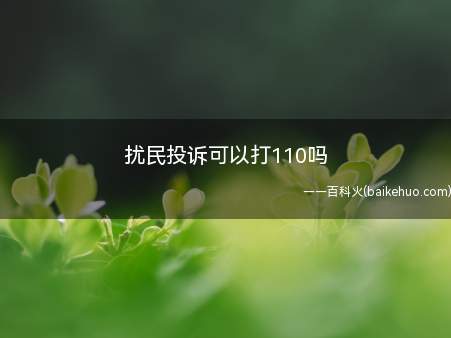 扰民投诉可以打110吗