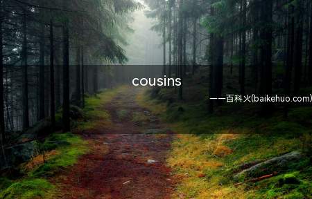cousins(cousins意思是堂(表兄)弟姊妹,远亲,同辈。)