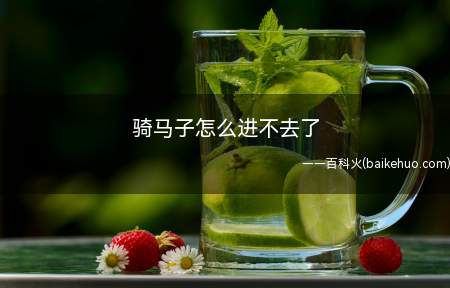 骑马子怎么进不去了(骑马与砍杀进不去解决方法)