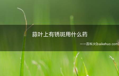 蒜叶上有锈斑用什么药（蒜叶上有锈斑有可能是因为患上了锈病）