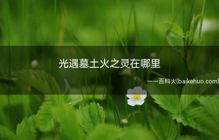 光遇墓土火之灵在哪里(走到雨林,雨林的最后一个图就可以找到“火之灵”)