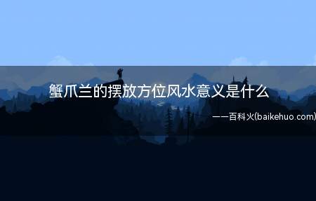 蟹爪兰可以放在门口、窗台、几架,这些位置都是很好的