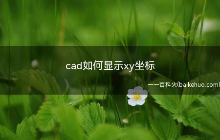 cad如何显示xy坐标