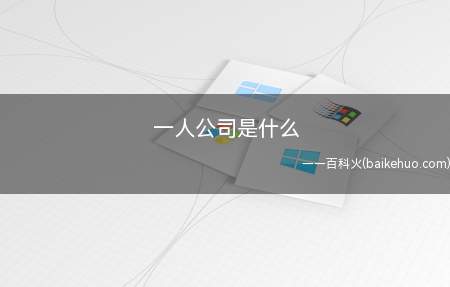 一人公司是什么(一人公司,是指公司的出资全部属于单一股东的公司)