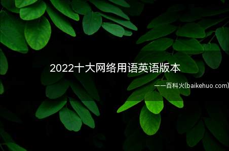 2022十大网络用语英语版本