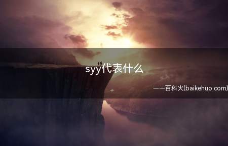 syy代表什么(美国西斯科食品服务有限公司)