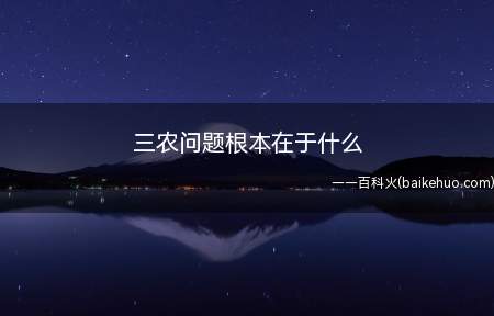 三农问题根本在于深化改革,走中国特色现代化农业道路