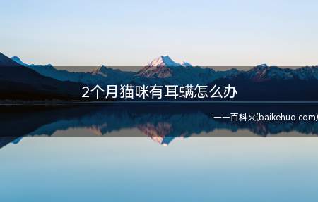 2个月猫咪有耳螨怎么办(幼猫出现耳螨是正常现象)