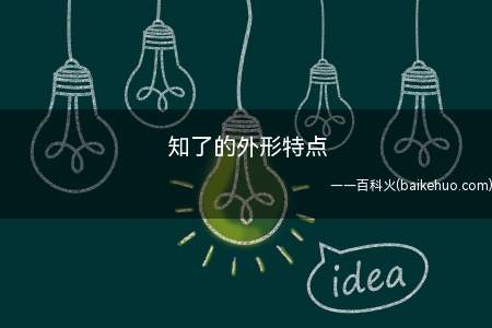 知了学名叫蝉,夏天一到,我们就会听到它们的叫声,特别是最炎热