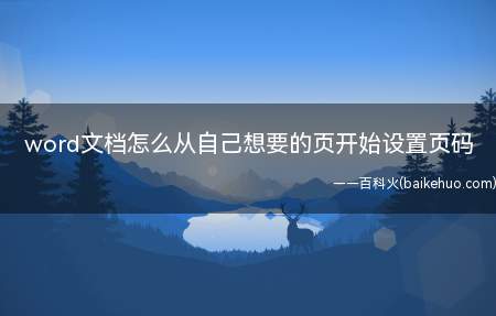 word文档怎么从自己想要的页开始设置页码