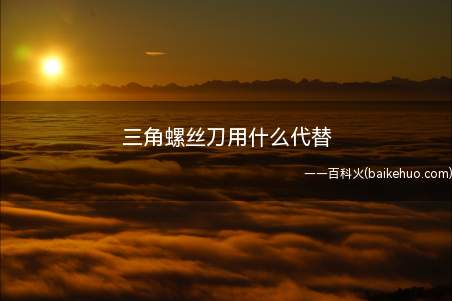 用大小合适的钥匙或者细的铁片、硬的小刀都可以替代