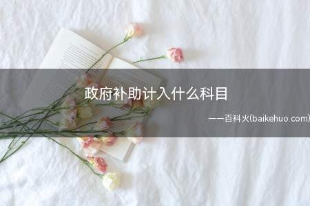 政府补助计入什么科目（政府补助计入递延收益科目）