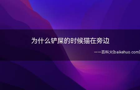 为什么铲屎的时候猫在旁边(猫咪的排泄物是最具有猫咪自己气味的东西)