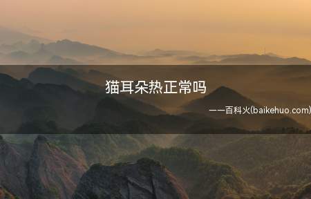 猫耳朵热正常吗（猫咪耳朵发热发烫的注意事项）