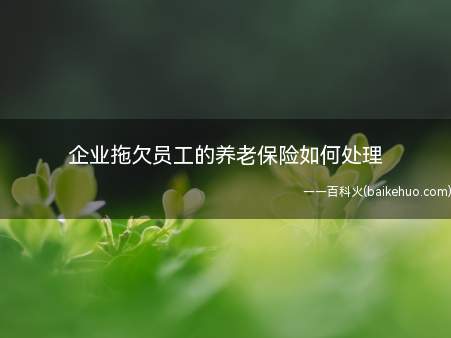 养老保险属于强制保险,单位应当依法缴纳,拒绝缴纳的可向社保局