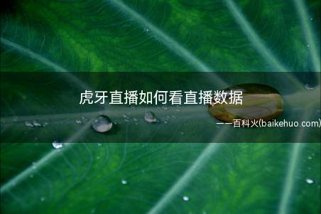 虎牙直播如何看直播数据