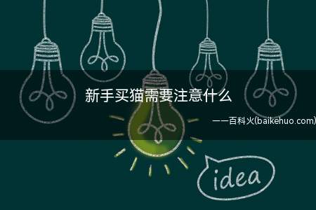 新手买猫需要注意什么(新手买猫,首先第一个,如果你决定想养一只猫咪)