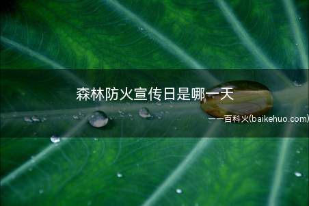 森林防火宣传日是哪一天(森林防火宣传日是三月一十九日)