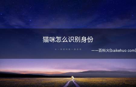 猫咪怎么识别身份(猫咪靠鼻纹识别身份,每个人的指纹都是独一无二的)
