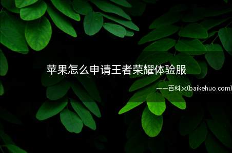 苹果怎么申请王者荣耀体验服(苹果ios系统取得体验服下载资格)
