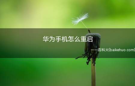 华为手机右侧电源键,几秒钟后手机进入“重启/关机/恢复模式”