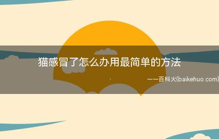 猫感冒了怎么办用最简单的方法(猫咪感冒指的是呼吸道感染的临床表现)
