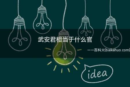武安君相当于什么官（关于武安君的相关人物代表）