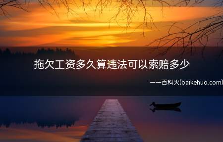拖欠工资多久算违法可以索赔多少（只要单位在一个工资支付周期内未支付员工工资）