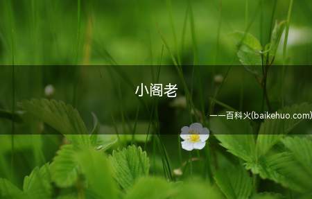 小阁老是指严世蕃,只有像张居正、严嵩这种级别的人才有资格被尊