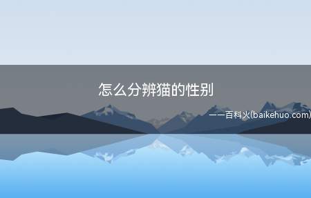 小猫阴囊不明显的情况下主要看肛门和尿道口的位置与形状