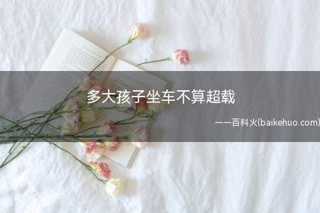多大孩子坐车不算超载(车辆载客人数不是根据乘客年龄来认定)