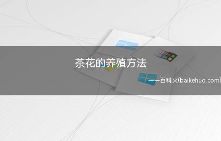 茶花的养殖方法（茶花建议养殖者腐殖质含量丰富的微酸性土壤中）