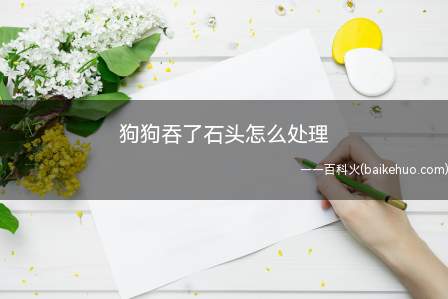 狗狗吞了石头怎么处理(狗狗吞了石头建议立即带往医院进行影像学检查)