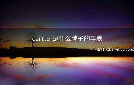 cartter是什么牌子的手表(没有cartter,是英文名叫卡地亚)