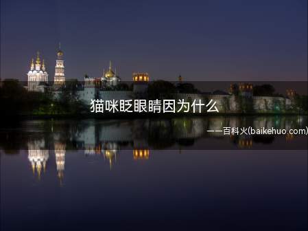 猫咪眨眼睛因为什么(猫咪眨眼睛通常分为以下几个方面)