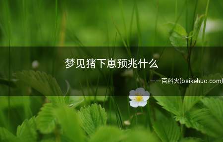 梦见猪下崽预兆什么(梦见猪下崽预兆什么,得此梦五行主水)