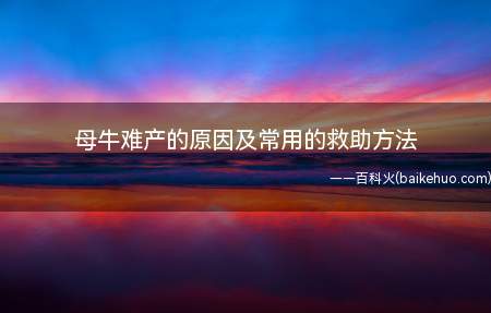 母牛的产道内灌注润滑油或微温的肥皂水,用产科绳分别缚住2个前