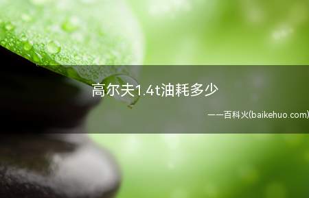 高尔夫1.4t油耗多少(高尔夫1)