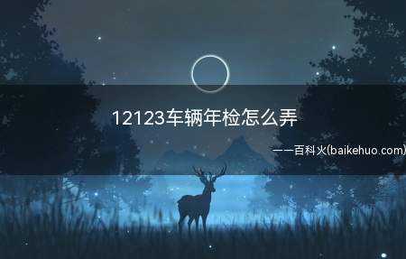 12123车辆年检怎么弄
