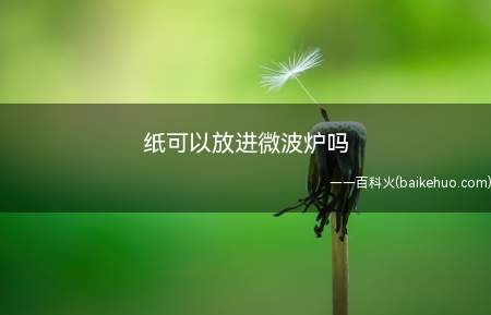纸可以放进微波炉吗