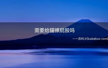 需要给猫擦屁股吗(猫猫比较爱干净,会有自己清洁自己的行为)