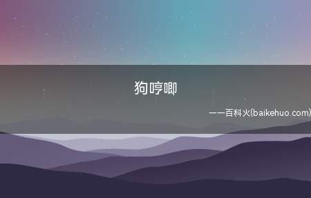 狗哼唧(狗狗哼唧可能表达以下几种意思)