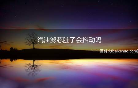汽油滤芯脏了会抖动吗(汽油滤芯脏了会有什么后果)